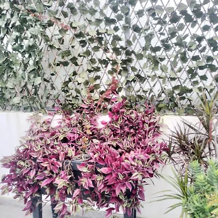 Apartamento Marquês Rooftop Al *